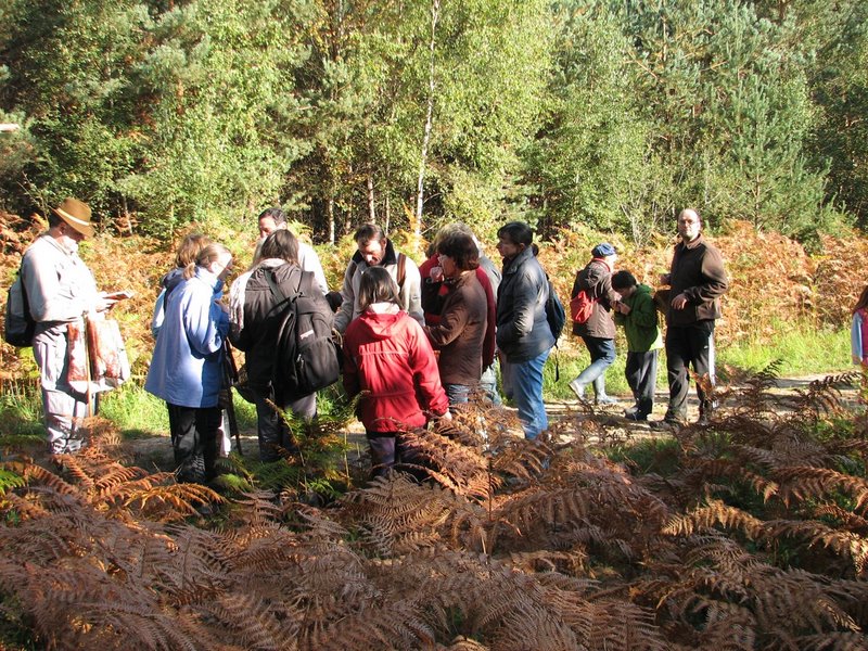 Mares au vinaigre 18